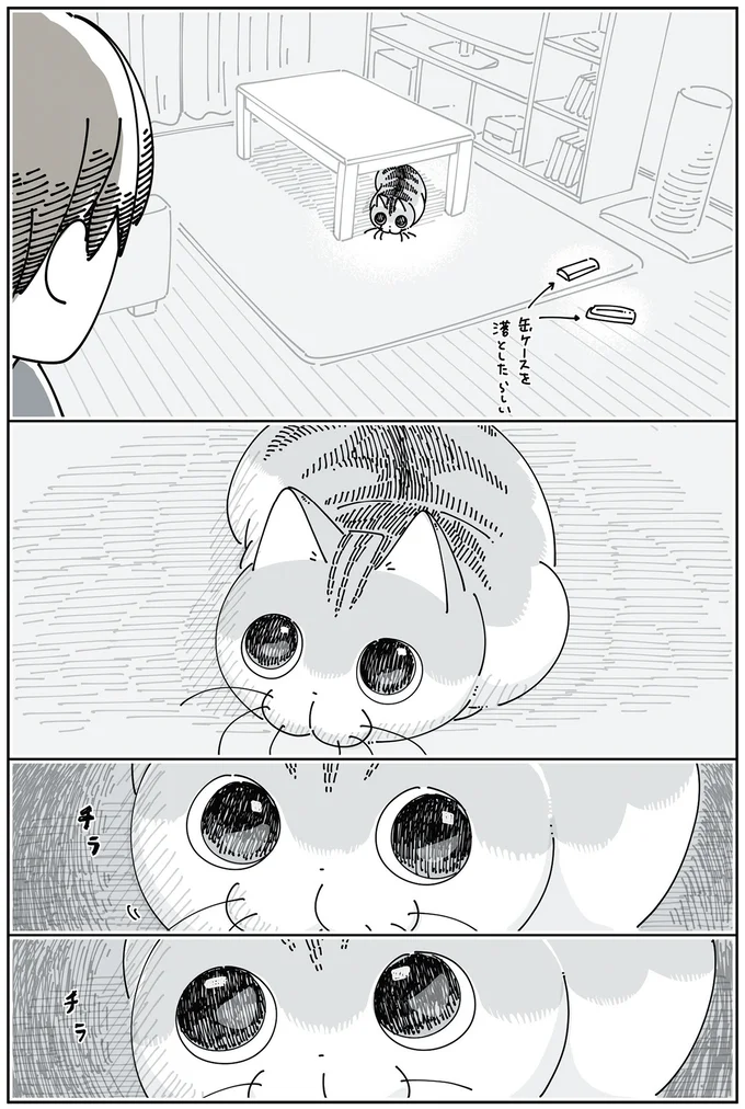 『夜は猫といっしょ6』 14025404.webp