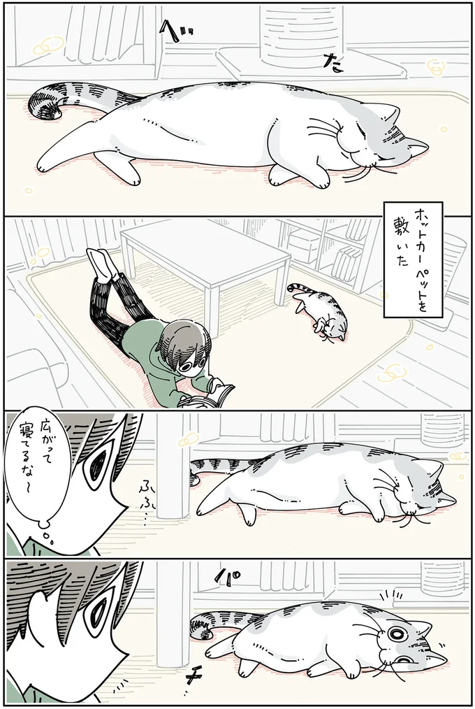 「こっち側だけ...」不思議な触り心地の猫。なんだか広がって寝ていると思ったら／夜は猫といっしょ6 14025410.webp