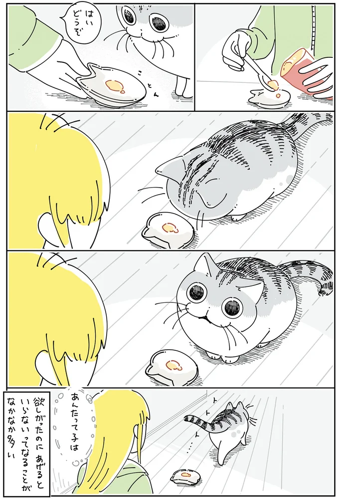 あんたって子は！ 愛猫が焼いもを欲しいとアピールしたからあげたのに...／夜は猫といっしょ6 14025418.webp