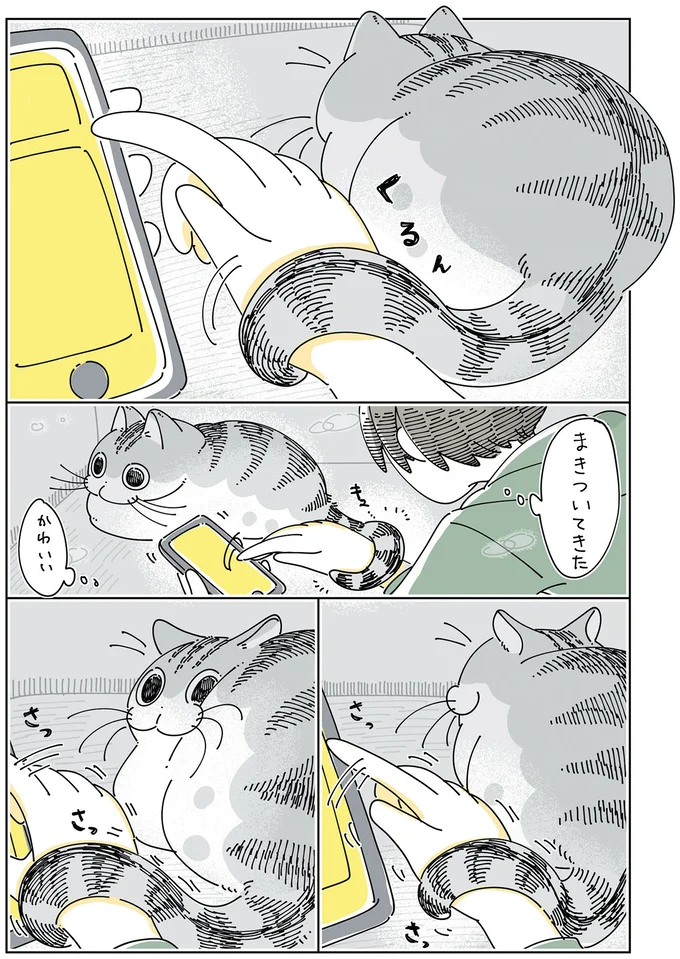 ゲーム中、愛猫のしっぽが手に巻き付いてきた。さあどうする？／夜は猫といっしょ6 14025435.webp