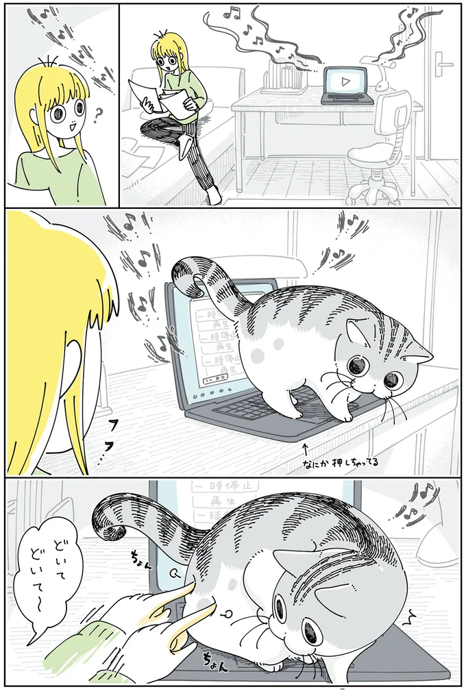 フフッ楽しい...PCの上にいる猫にどいてもらおうとしたら...／夜は猫といっしょ6 14025447.webp