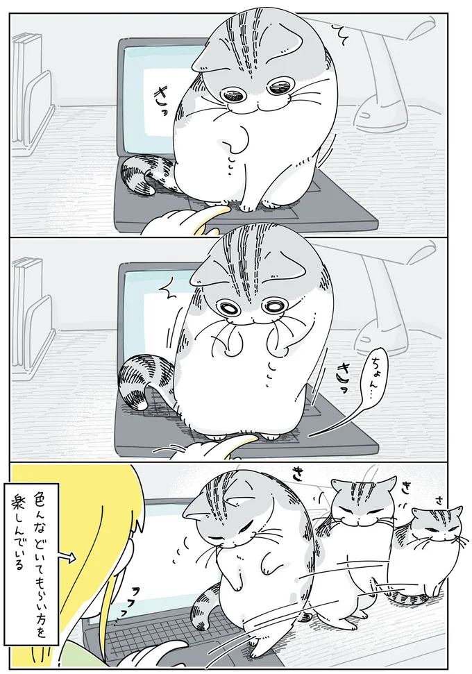 『夜は猫といっしょ6』 14025449.webp