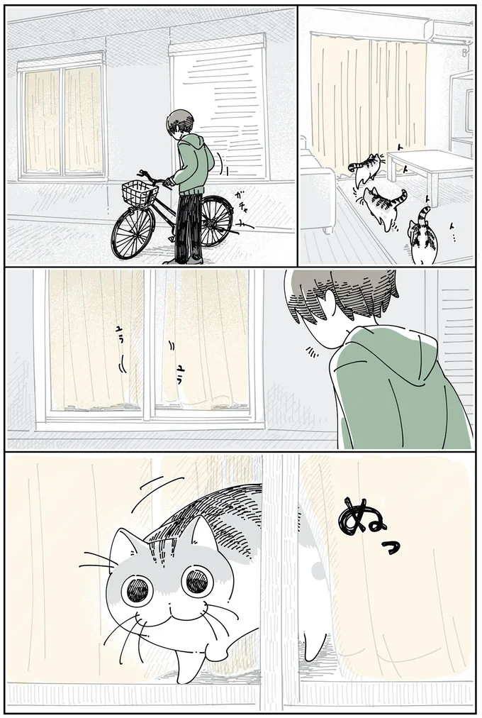 家の外を見ている猫。外にいる飼い主を見つけたら...えええ／夜は猫といっしょ6 14025454.webp