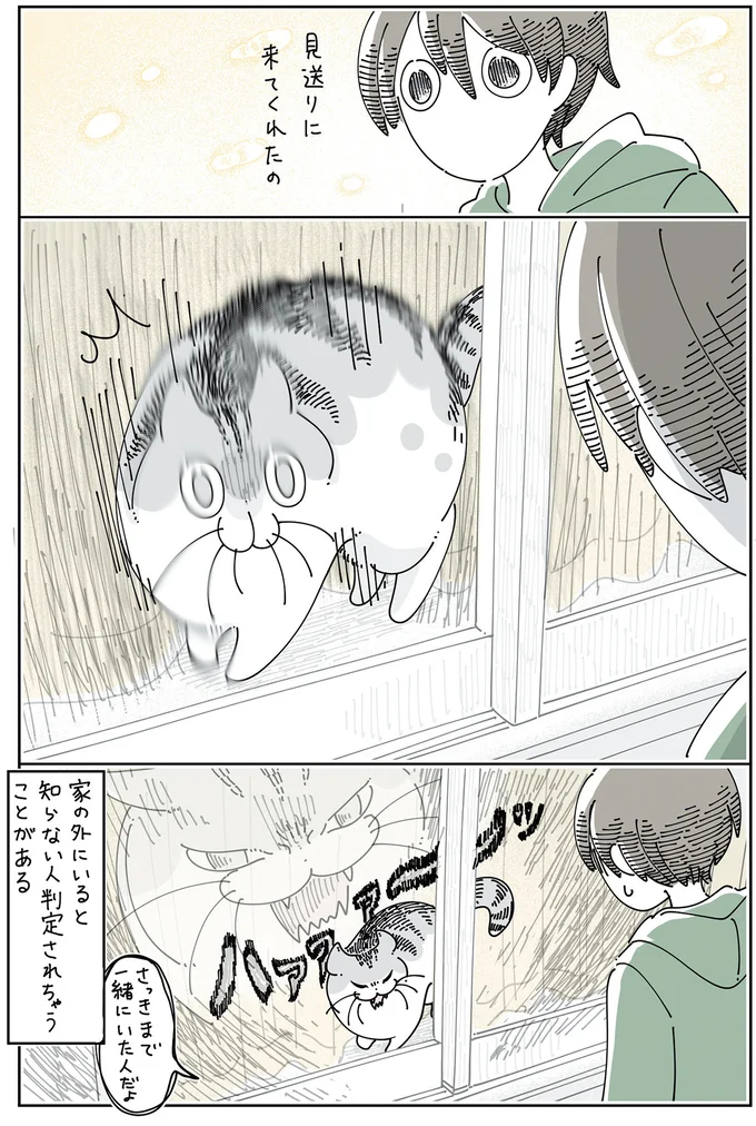 家の外を見ている猫。外にいる飼い主を見つけたら...えええ／夜は猫といっしょ6 14025455.webp