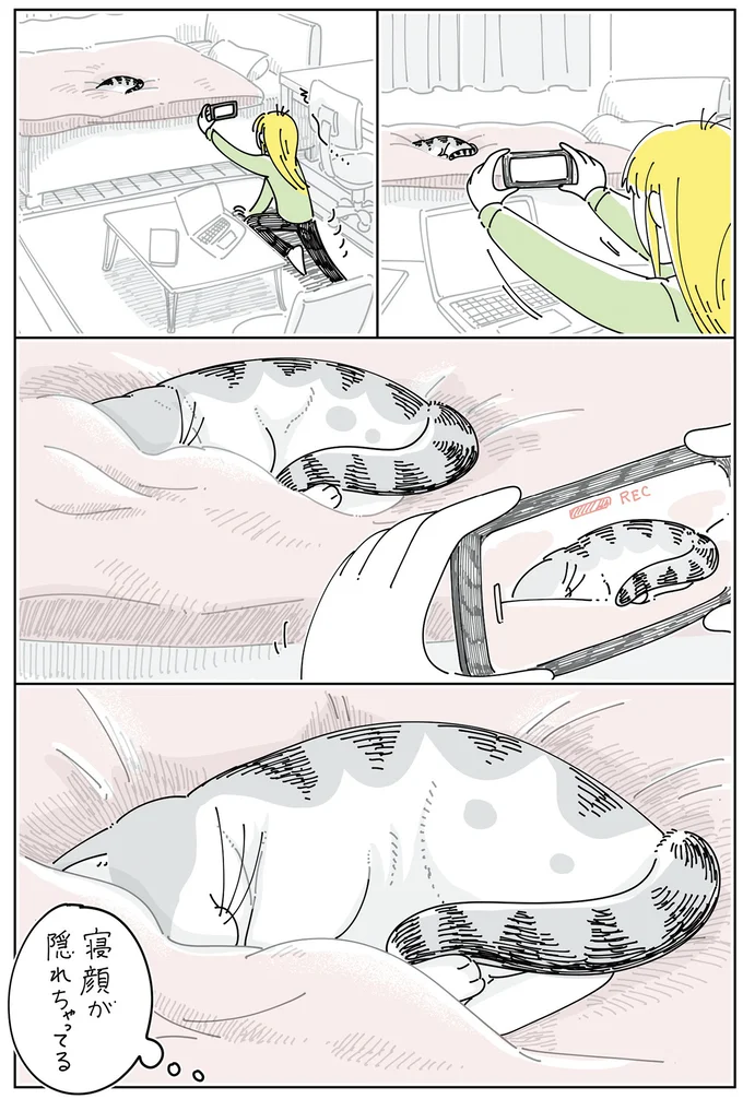 『夜は猫といっしょ6』 14025460.webp