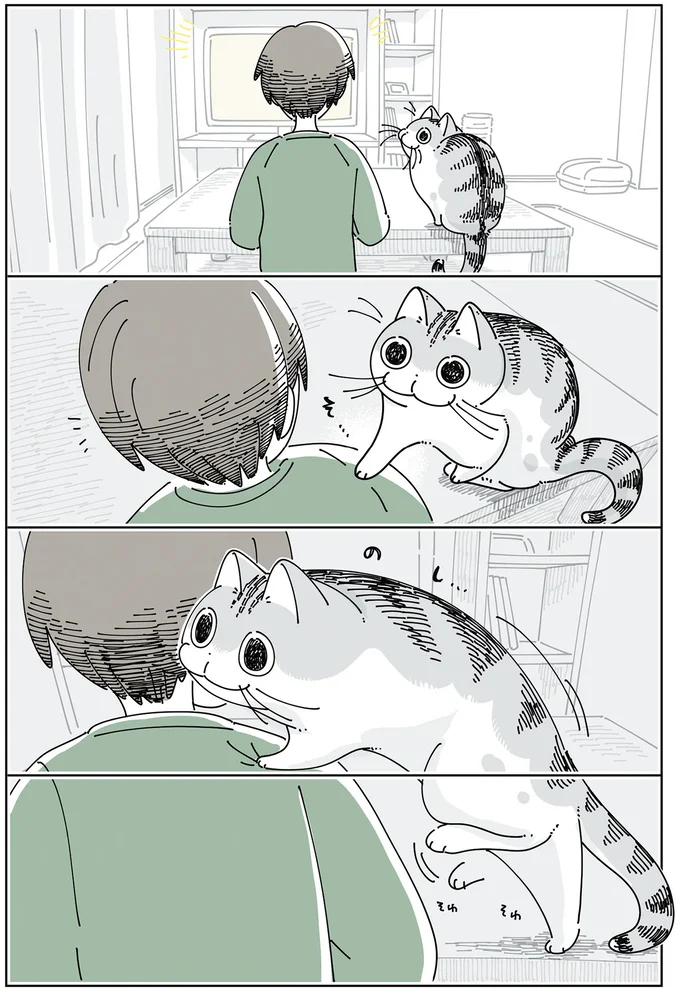 「猫が悩んでいる」と分かる飼い主。肩に手をかけて...優柔不断なところもかわいい／夜は猫といっしょ6 14025465.webp