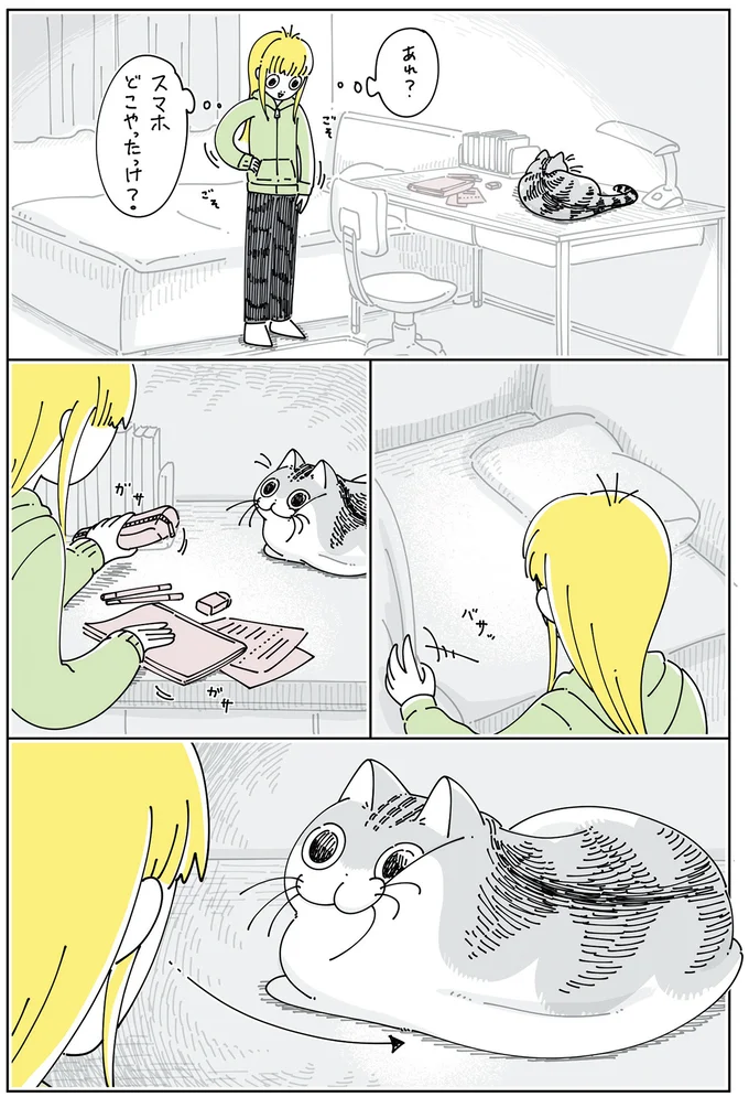 探し物が「猫の体の下」に...？ なぜ確認したくなるのか／夜は猫といっしょ6 14025471.webp