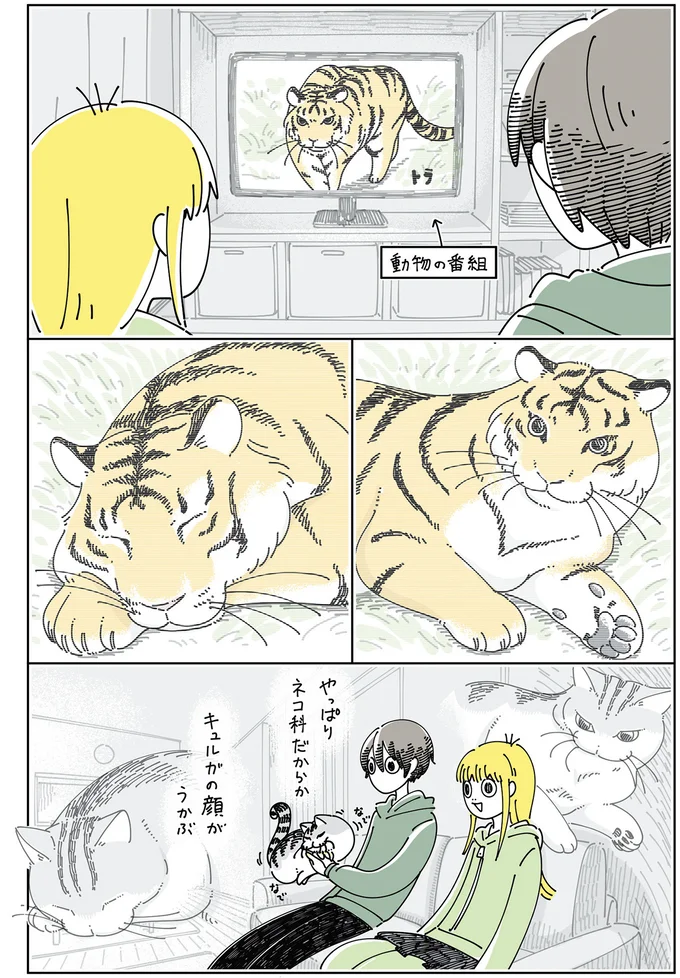 うちの猫がなんか似てる。トラ、アザラシ...ネコ科じゃないのに、なぜなのか／夜は猫といっしょ6 14025484.webp
