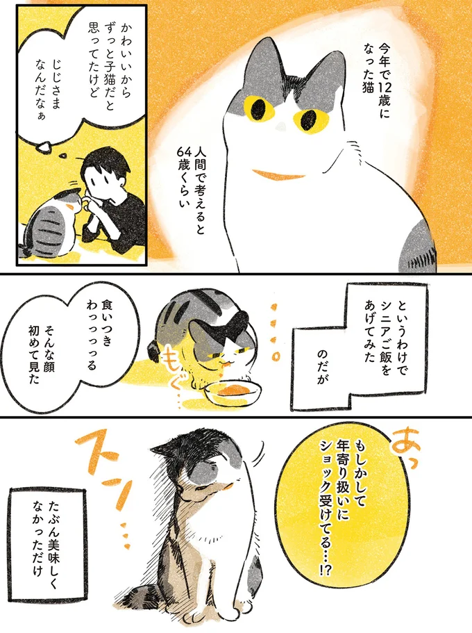 スン...。おじいちゃん猫にシニアご飯をあげてみたら/じじ猫くらし 14033982.webp