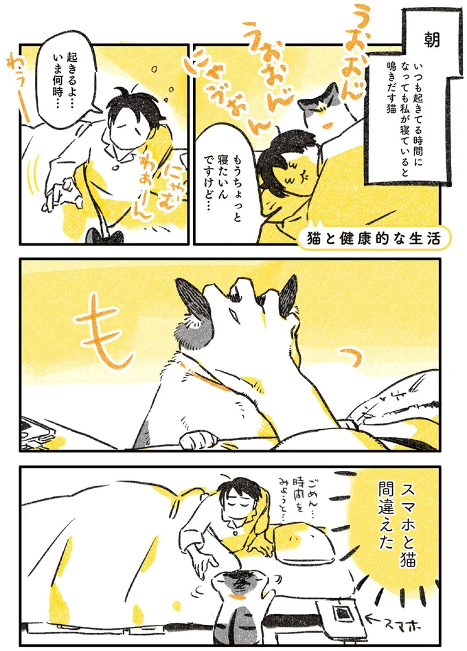 猫と暮らすと健康的な生活リズムに...? ただ「強制」されるようで/じじ猫くらし 14034055.webp