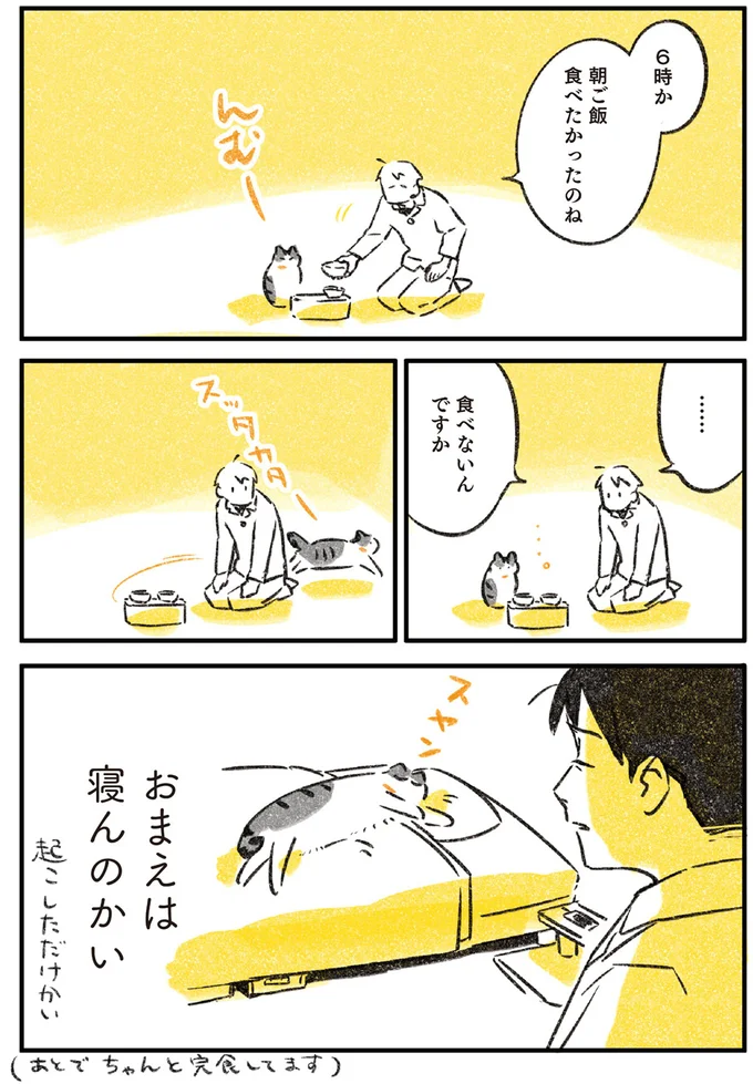 『じじ猫くらし』1～2 14034056.webp