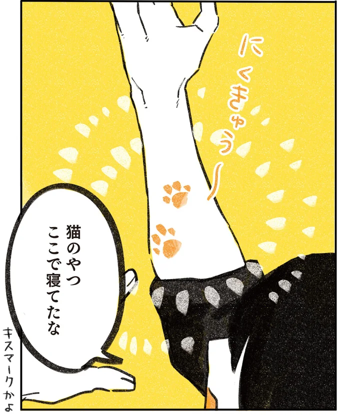 『じじ猫くらし』1～2 14034137.webp