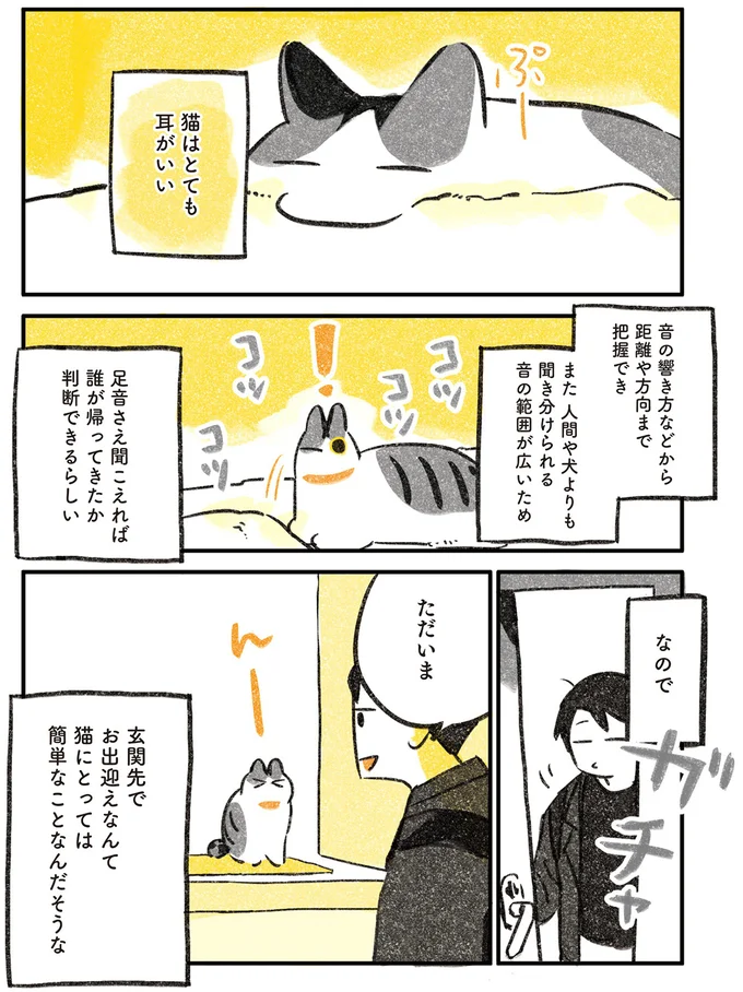 足音を聞き分け、玄関で出迎えてくれる猫。「猫にバレたら負け」チャレンジをしたら.../じじ猫くらし 14034173.webp