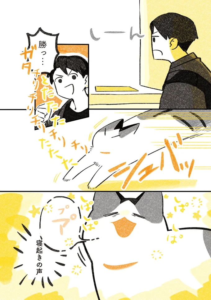 『じじ猫くらし』1～2 14034175.webp