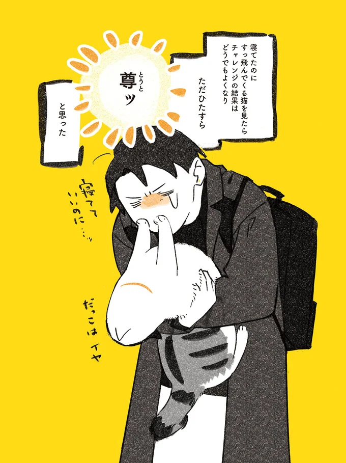 『じじ猫くらし』1～2 14034176.webp