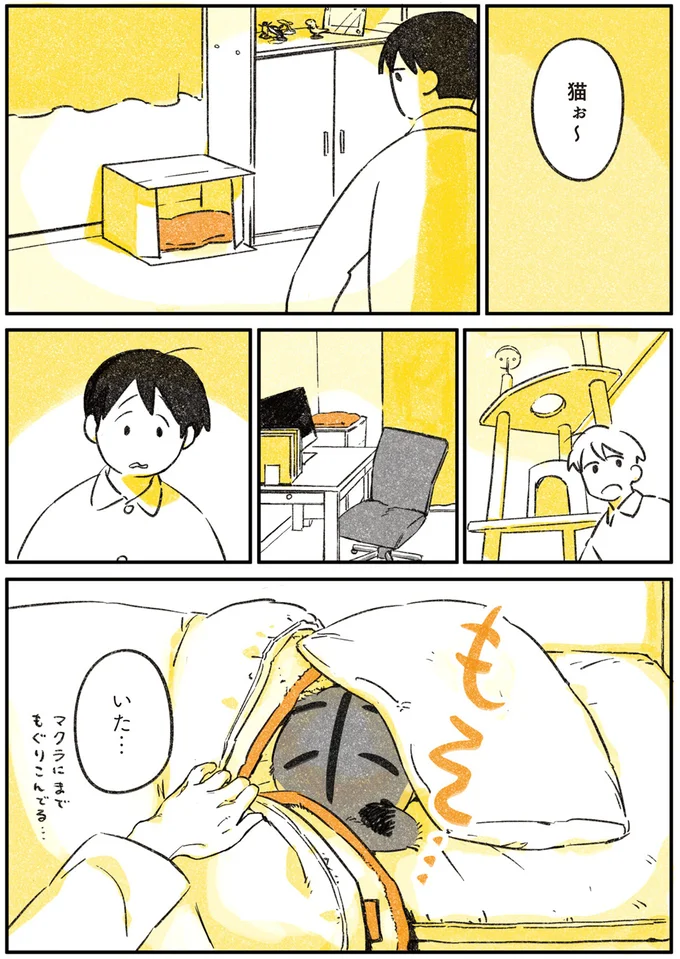 『じじ猫くらし』1～2 14034186.webp