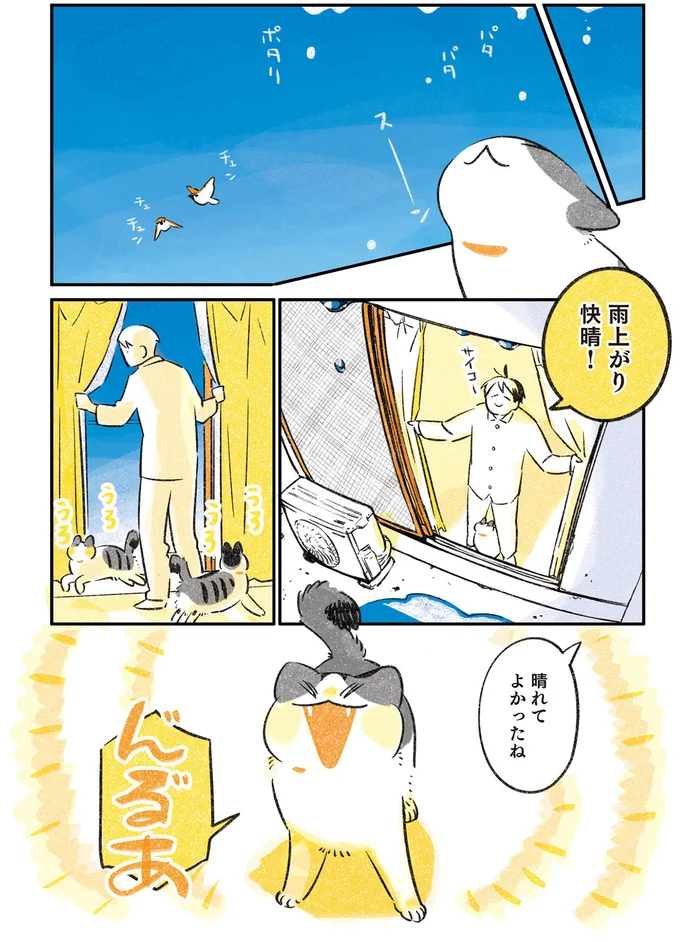 『じじ猫くらし』1～2 14034188.webp