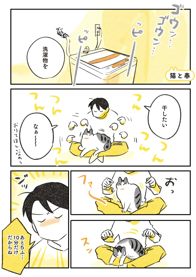 「ベランダ出たいのかい」春のぽかぽか陽気を楽しむ猫の姿は/じじ猫くらし 14034252.webp