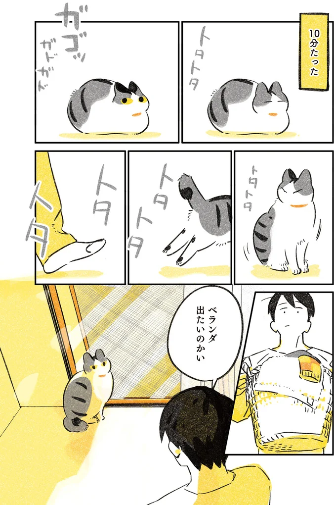 『じじ猫くらし』1～2 14034253.webp
