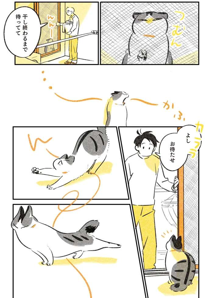 『じじ猫くらし』1～2 14034254.webp