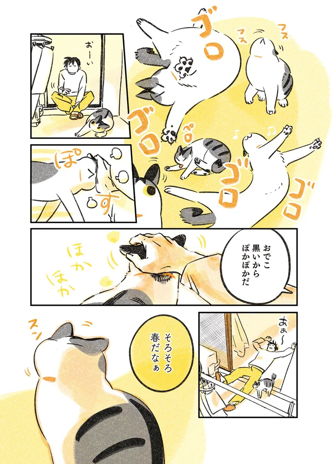 『じじ猫くらし』1～2 14034255.webp