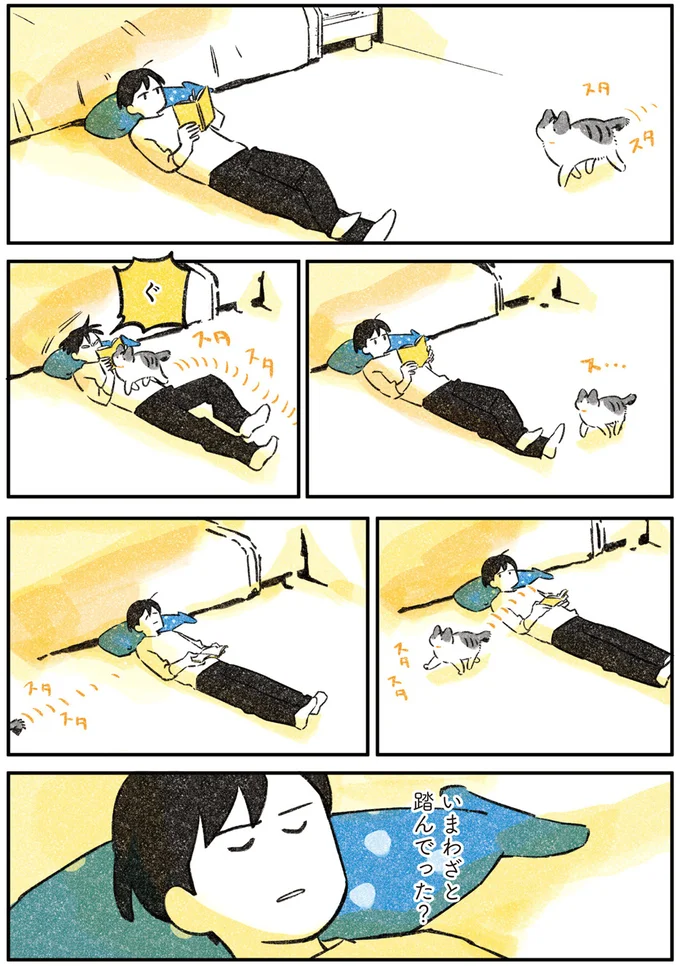 遠回りしてまで飼い主を踏んでいく猫。構ってほしいのか...あれ?/じじ猫くらし 14034962.webp