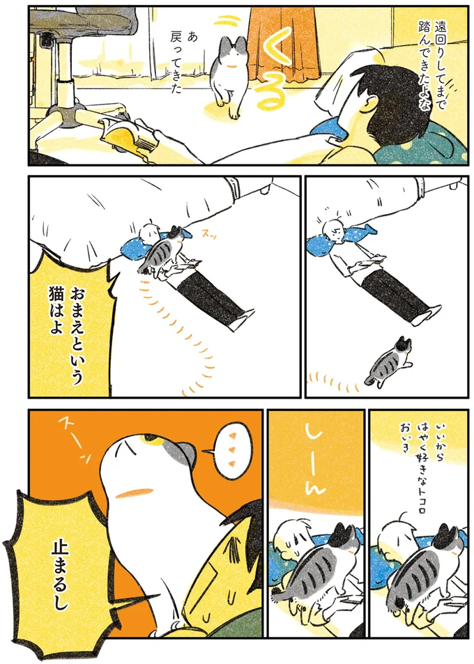 『じじ猫くらし』1～2 14034963.webp