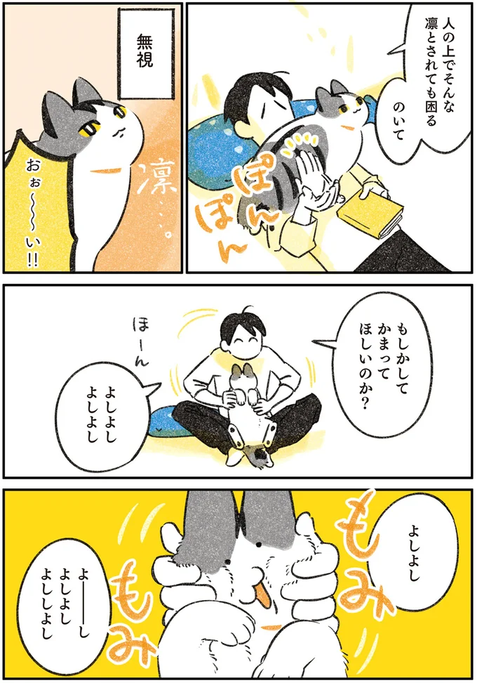 『じじ猫くらし』1～2 14034964.webp