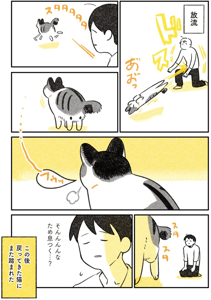 『じじ猫くらし』1～2 14034965.webp
