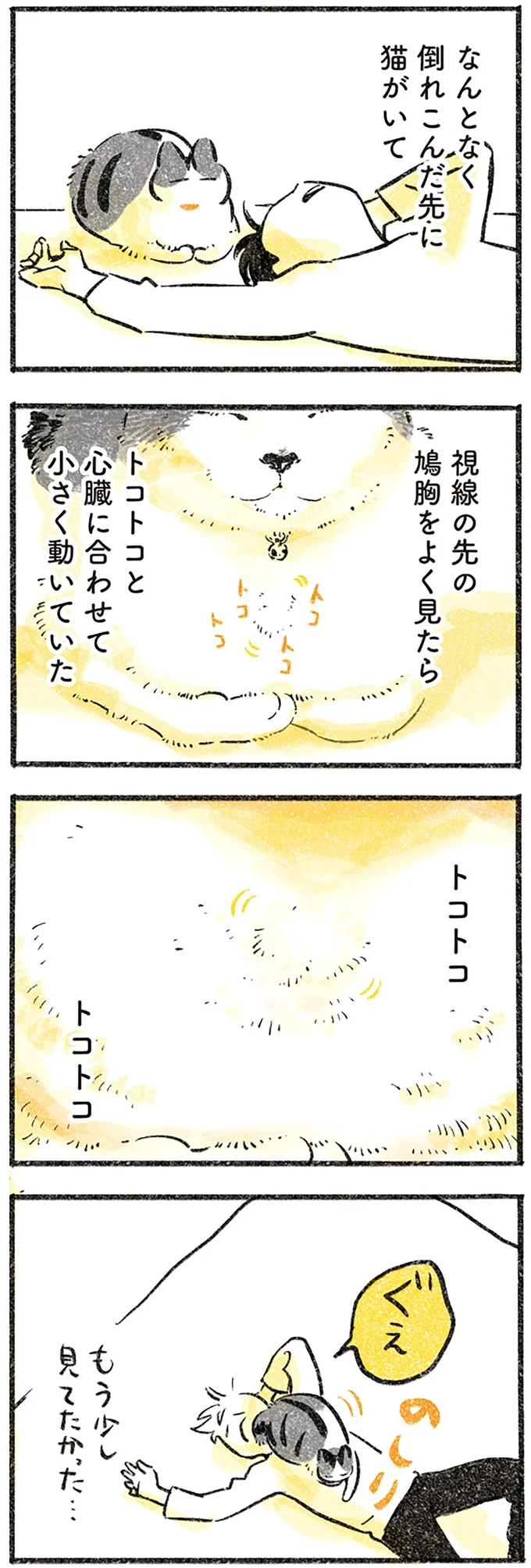 倒れ込んだ先にいた猫。視線の先でトコトコ小さく動いていたのは.../じじ猫くらし 14035003.webp