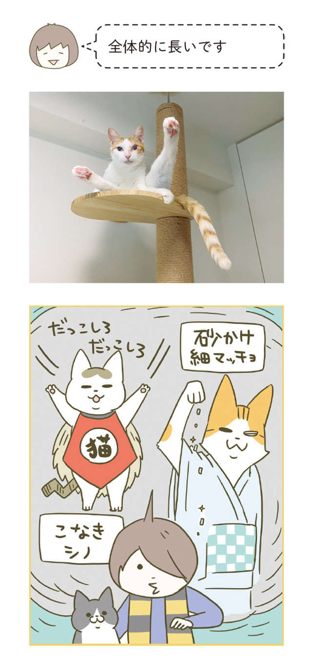 「容赦ないな」愛猫を抱っこしようとしてギックリ腰に！さらに...／うちの猫がまた変なことしてる。6 12.jpg