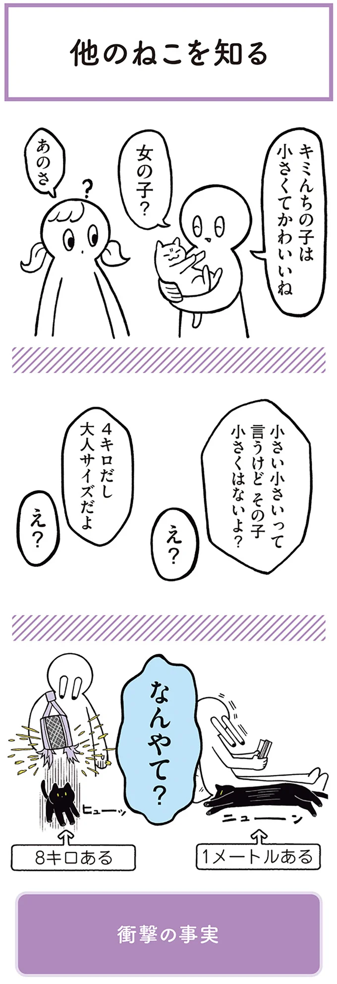 『黒猫ろんと暮らしたら1～3』 14055439.webp