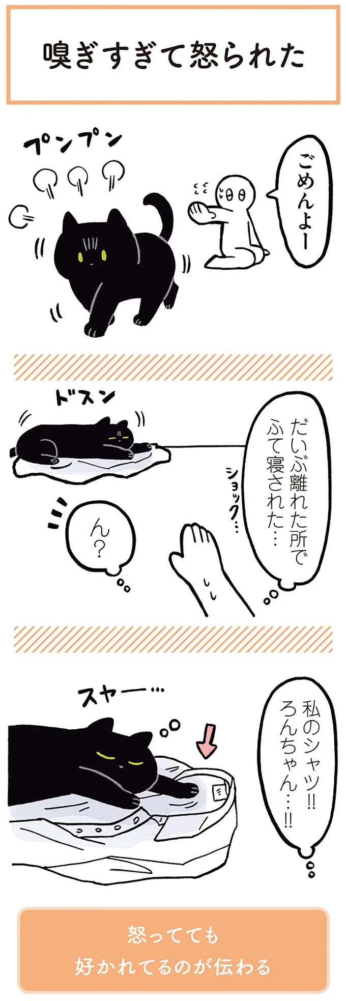 『黒猫ろんと暮らしたら1～3』 14055479.webp