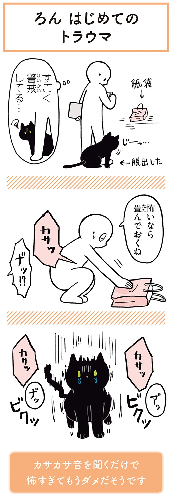 『黒猫ろんと暮らしたら1～3』 14055576.webp