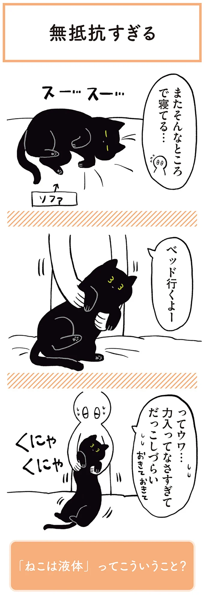 『黒猫ろんと暮らしたら1～3』 14055612.webp