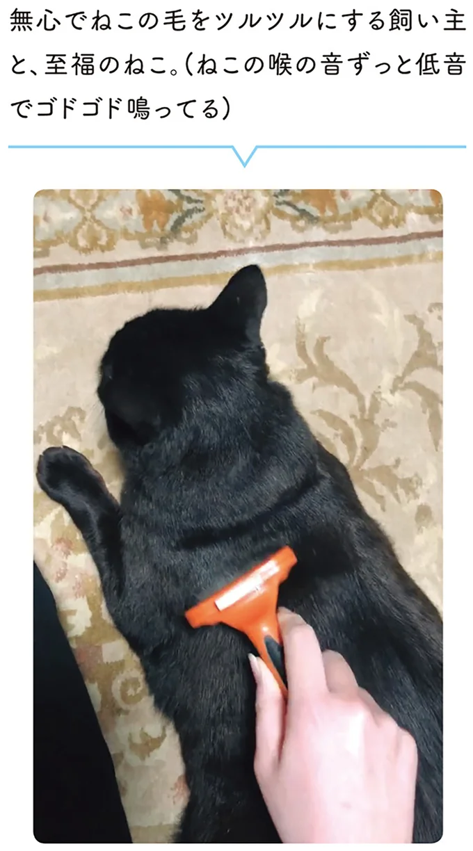 『黒猫ろんと暮らしたら1～3』 14055640.webp