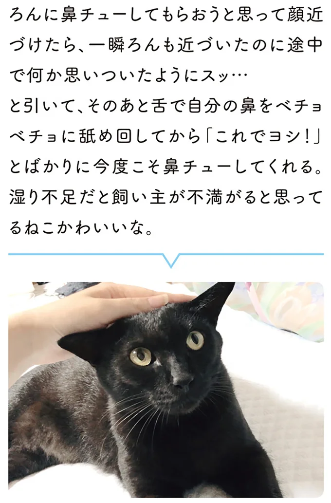 『黒猫ろんと暮らしたら1～3』 14055642.webp
