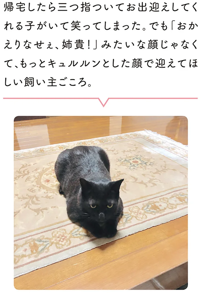 これが「猫と暮らす幸せ」。疲れて家に帰ったら.../黒猫ろんと暮らしたら 14055657.webp