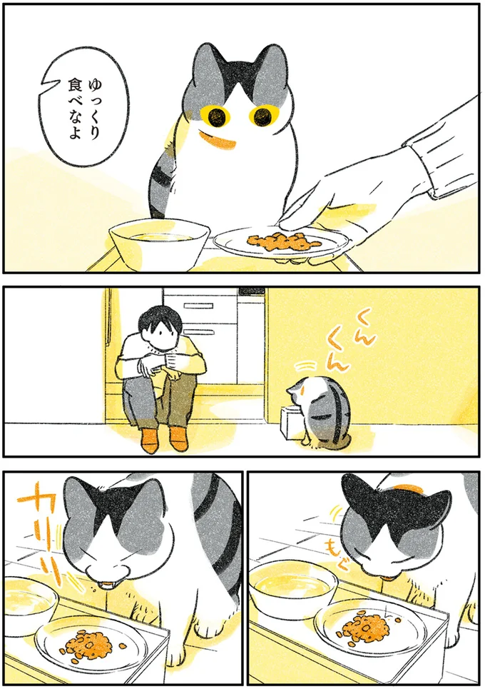 猫と飼い主、ぽかぽか陽気のお昼ご飯時。猫の要求には勝てず.../じじ猫くらし 2 14072450.webp