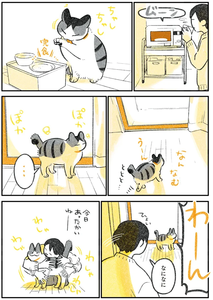 『じじ猫くらし』1～2 14072451.webp