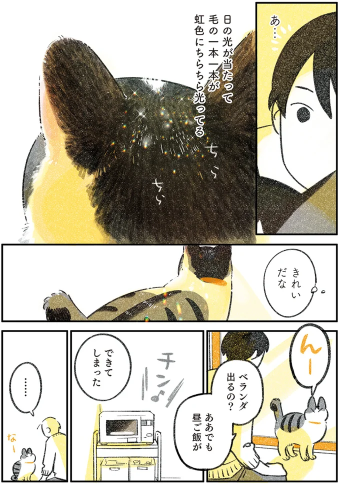 『じじ猫くらし』1～2 14072452.webp