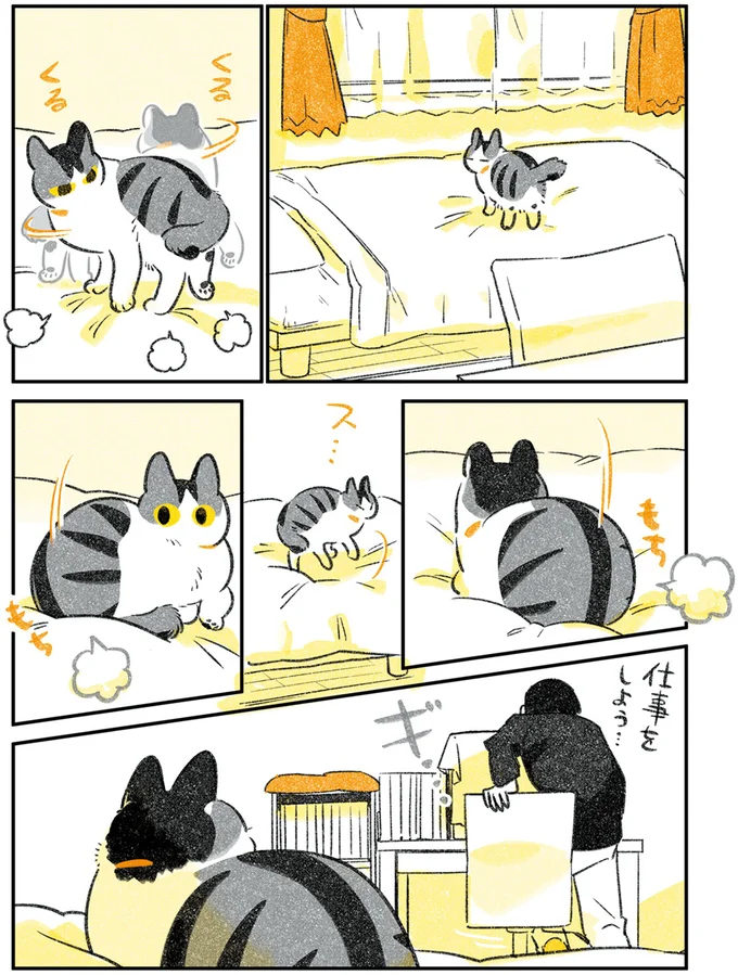 『じじ猫くらし』1～2 14079366.webp