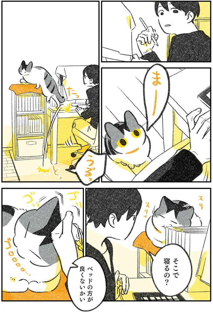 『じじ猫くらし』1～2 14079367.webp