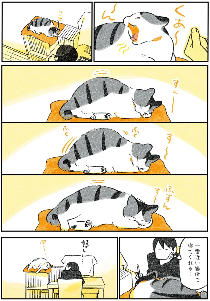 『じじ猫くらし』1～2 14079368.webp