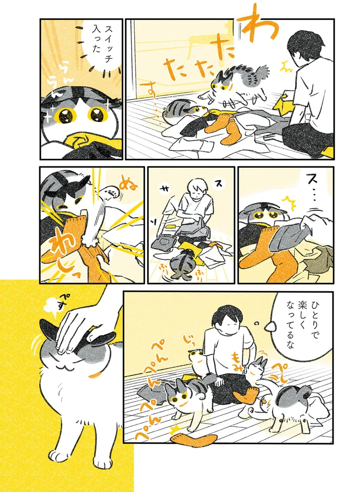 『じじ猫くらし』1～2 14079428.webp