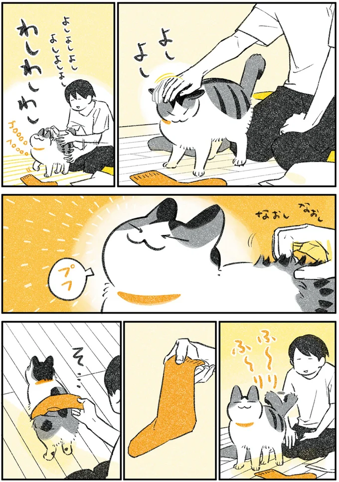 『じじ猫くらし』1～2 14079429.webp