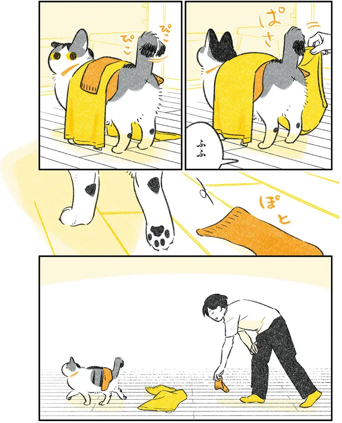 『じじ猫くらし』1～2 14079430.webp