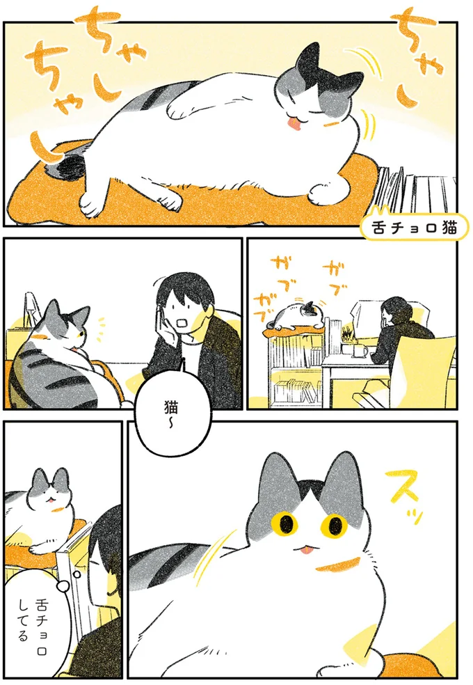 舌チョロしてる猫! 撮影したいのに撮ろうとするとすっと引っ込む.../じじ猫くらし 2 14079504.webp