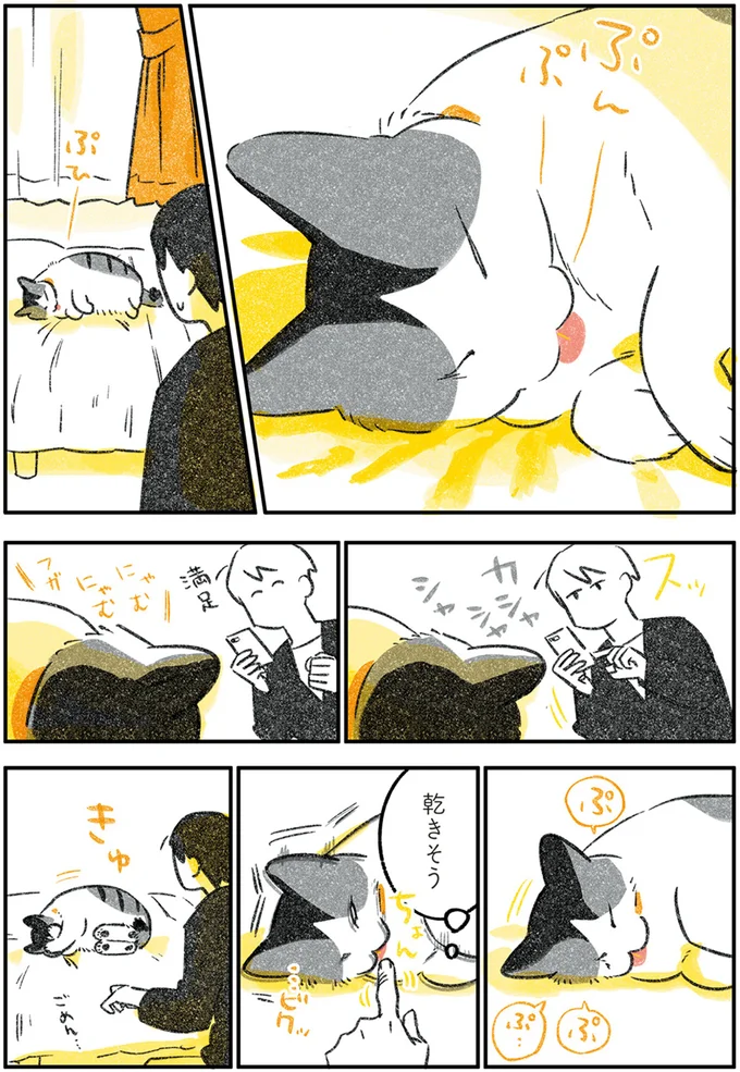 『じじ猫くらし』1～2 14079507.webp