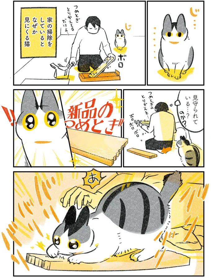 猫が嫌いな掃除機でも...⁉ 飼い主が掃除を始めるとなぜか見に来て／じじ猫くらし 2 14079514.webp